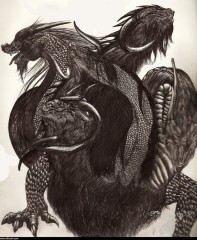 hydrefolle