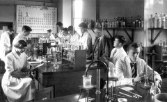 Lab
